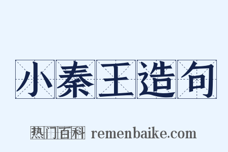 小秦王造句是什么意思的图片